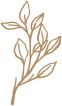 our-style-vector-img