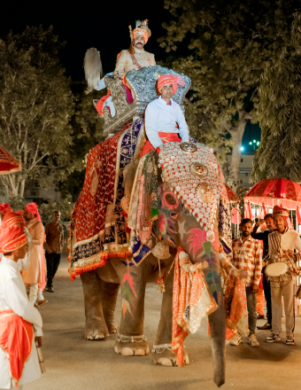 A groom rides an elephant under a striking red tent, showcasing a memorable scene from a wedding celebration.